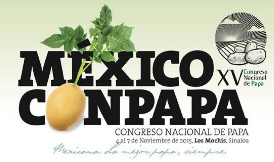 Mexican. The best potato, ever! XV National Congress of Potato