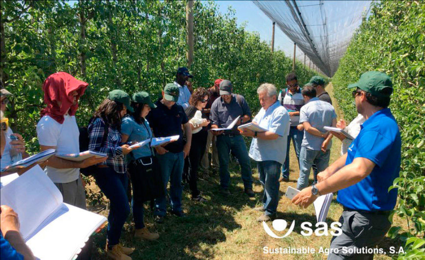 Jornadas técnicas de campo SAS