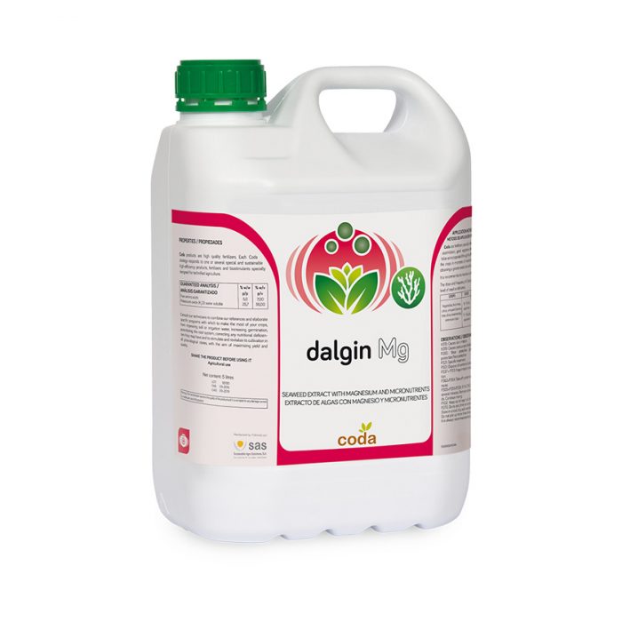 Dalgin Mg - Productos - CODA -SAS