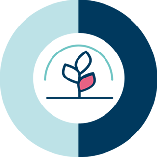 Improvement & Prevention - Forcrop - SAS