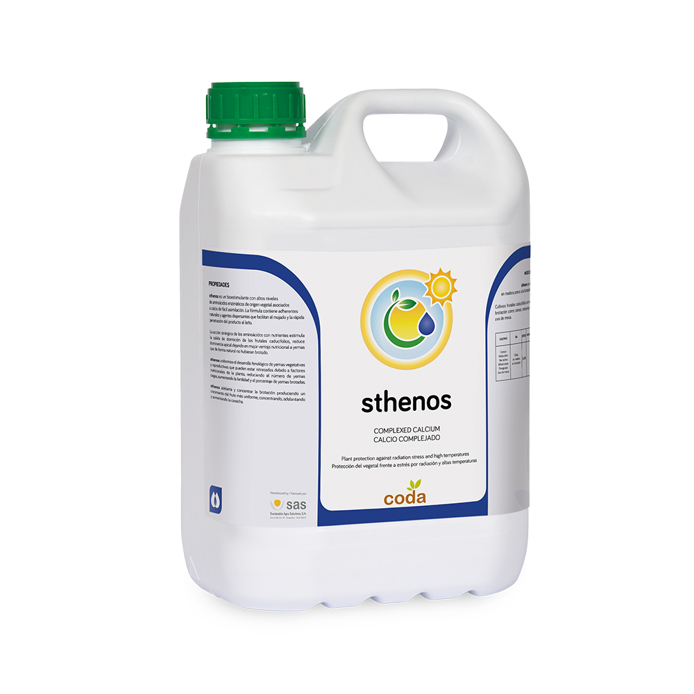 sthenos - Products - CODA - SAS